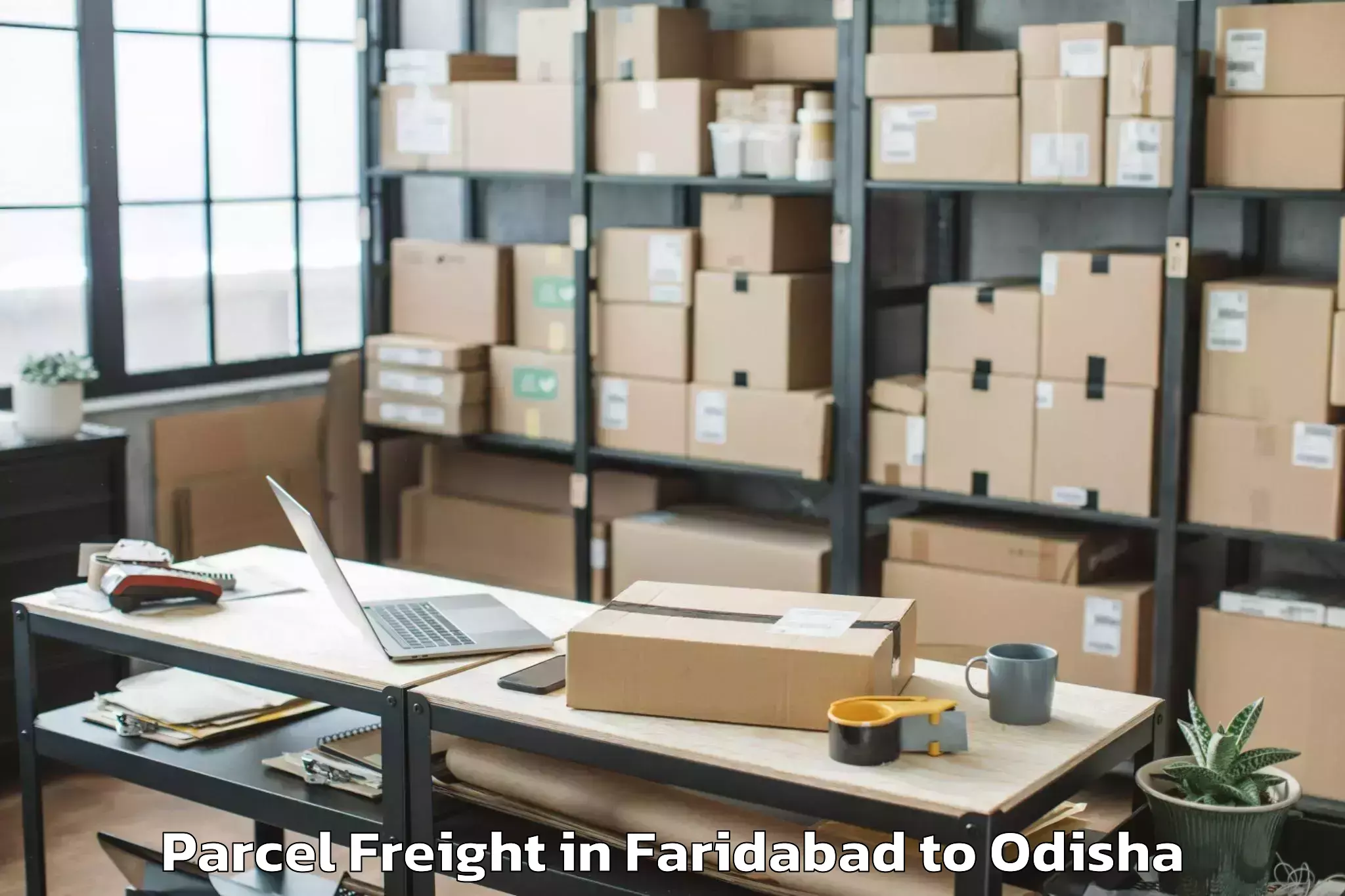 Book Faridabad to Khallikot Parcel Freight Online